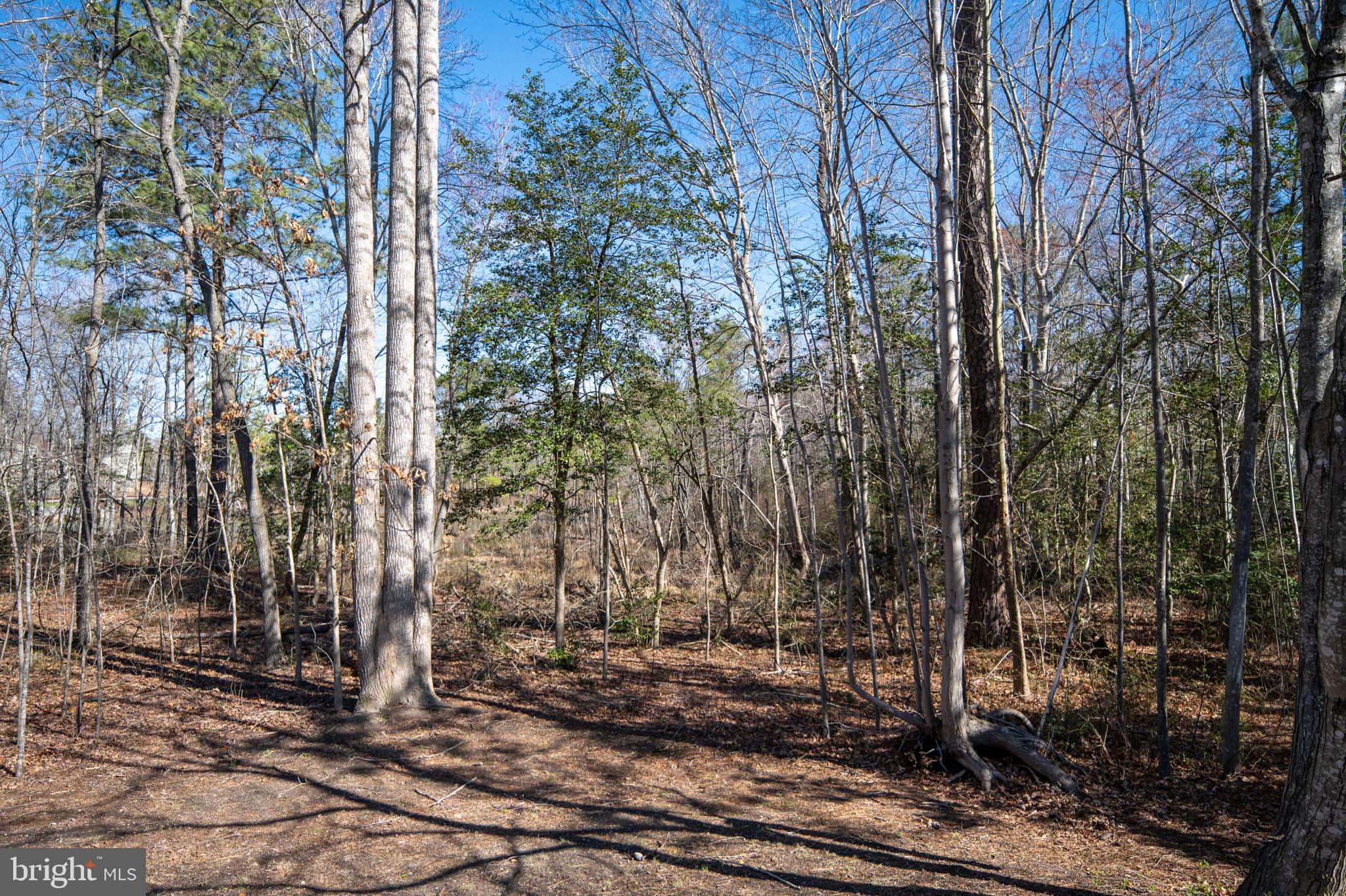 BELMONT AT CARMEL CHURCH - Residential