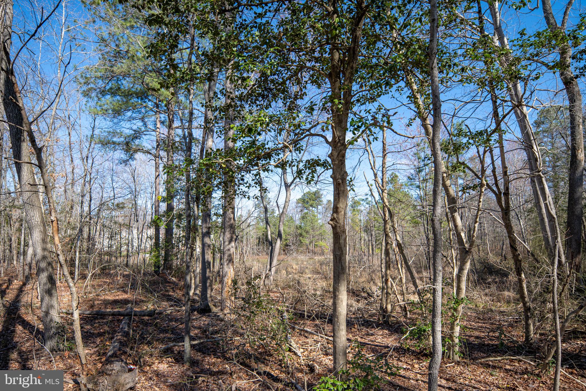 BELMONT AT CARMEL CHURCH - Residential