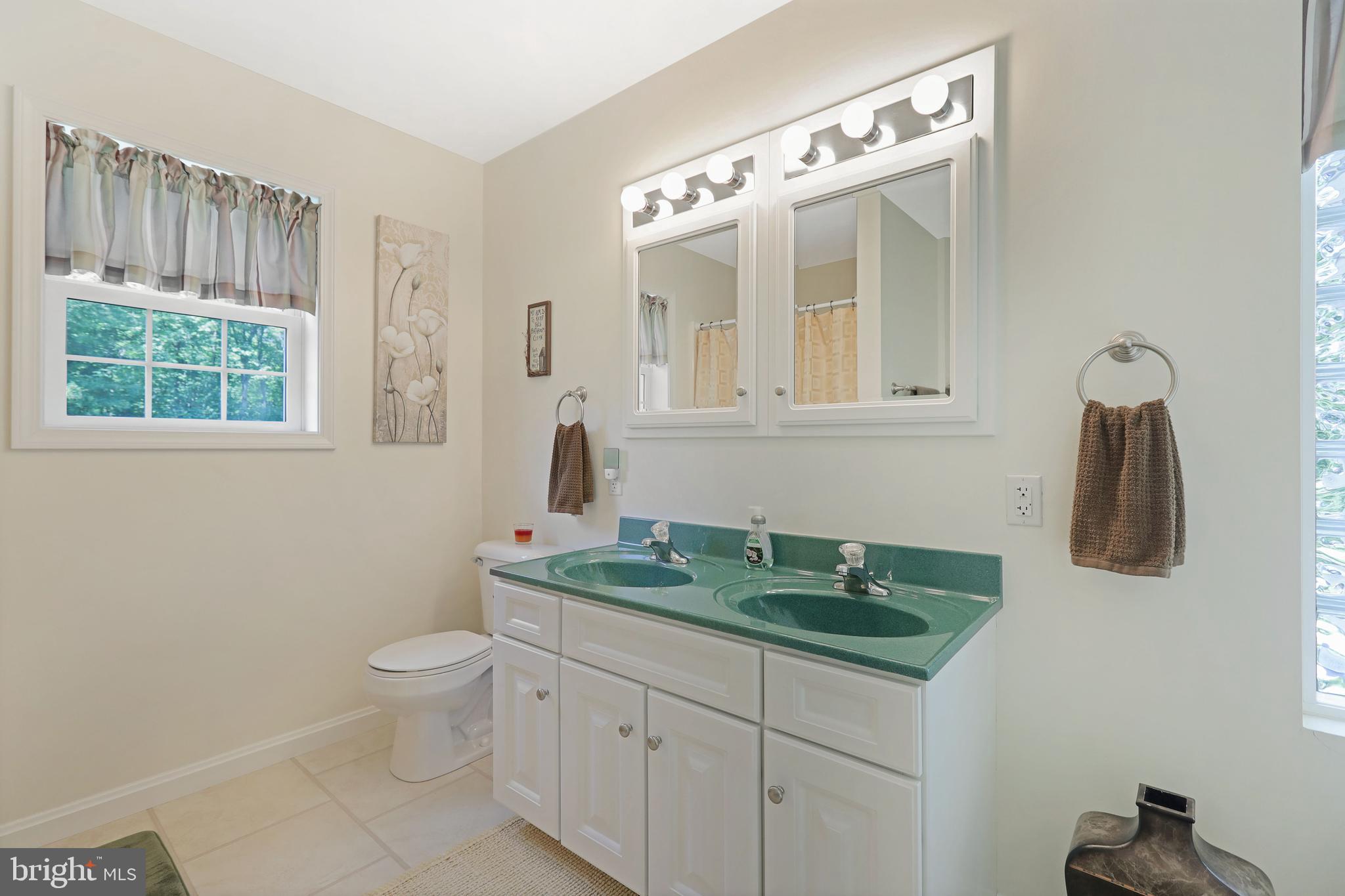 CHESTNUT RIDGE - Residential