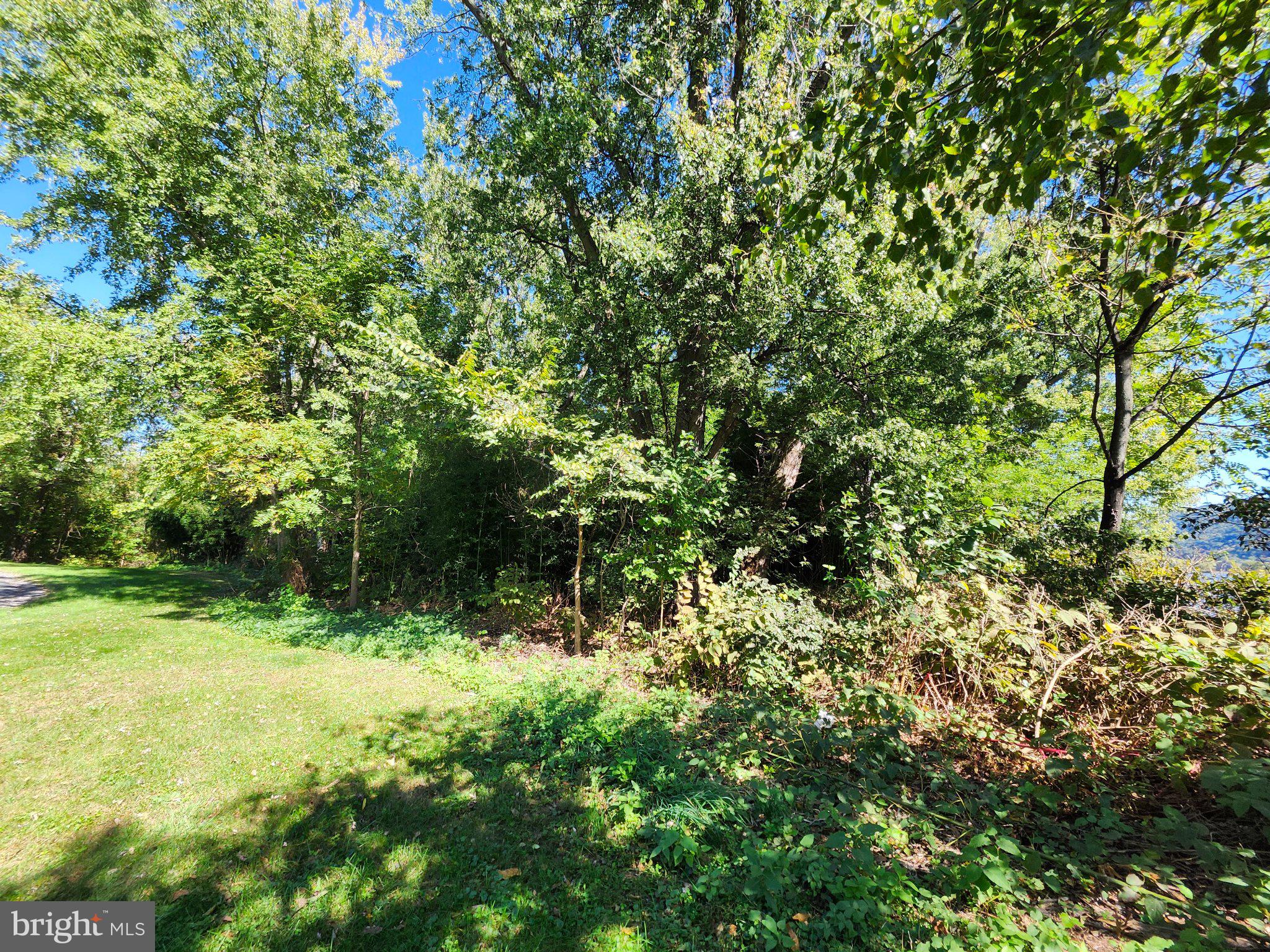 20 MAGUIRE LANE