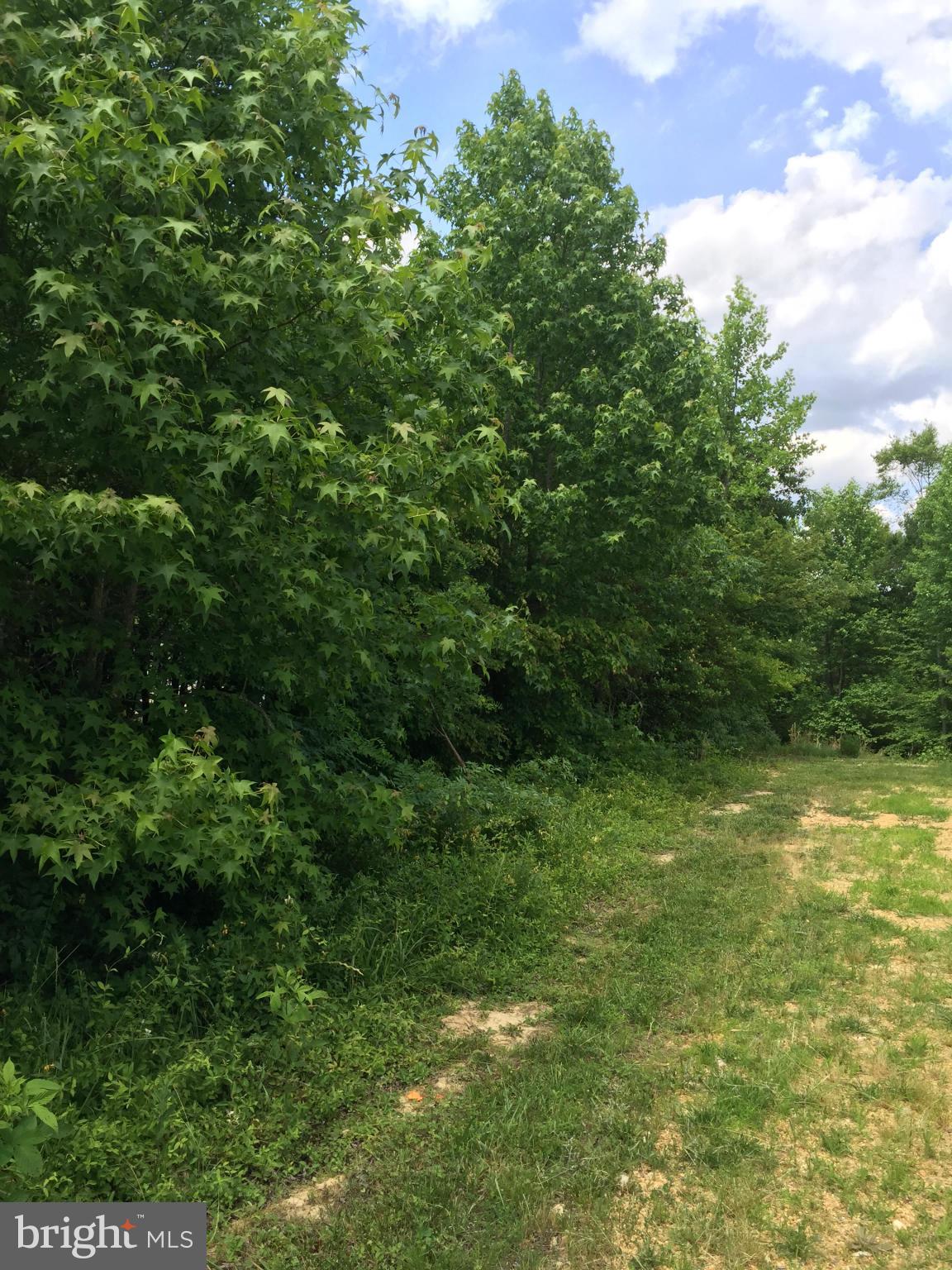 INDIANTOWN HILLS - Land