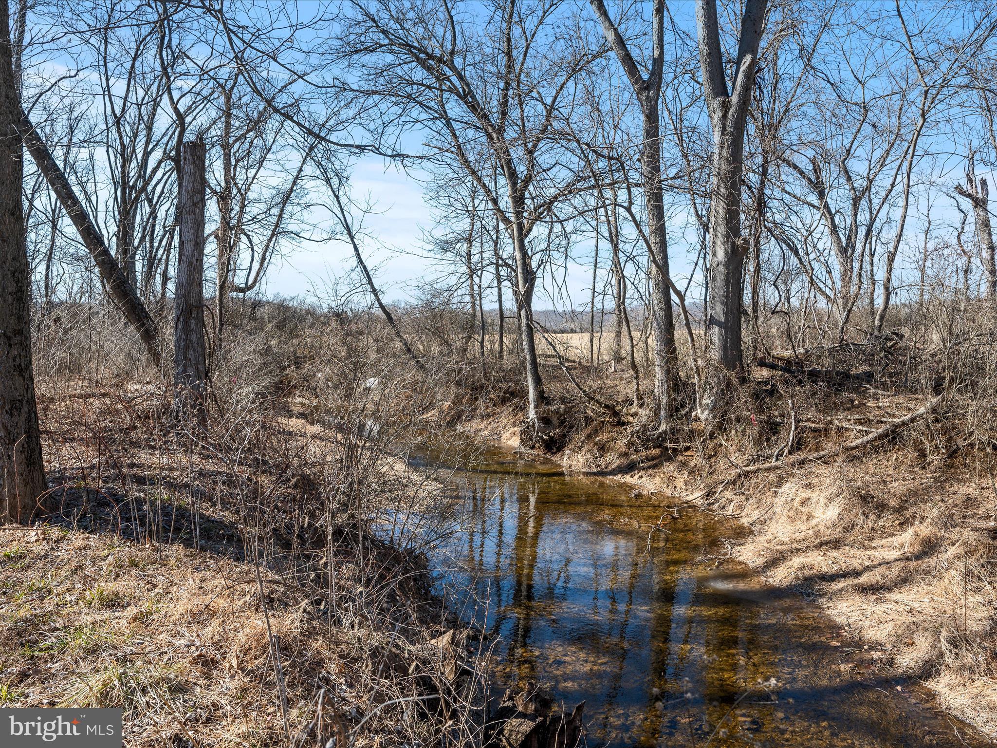 SADDLEBROOK - Residential