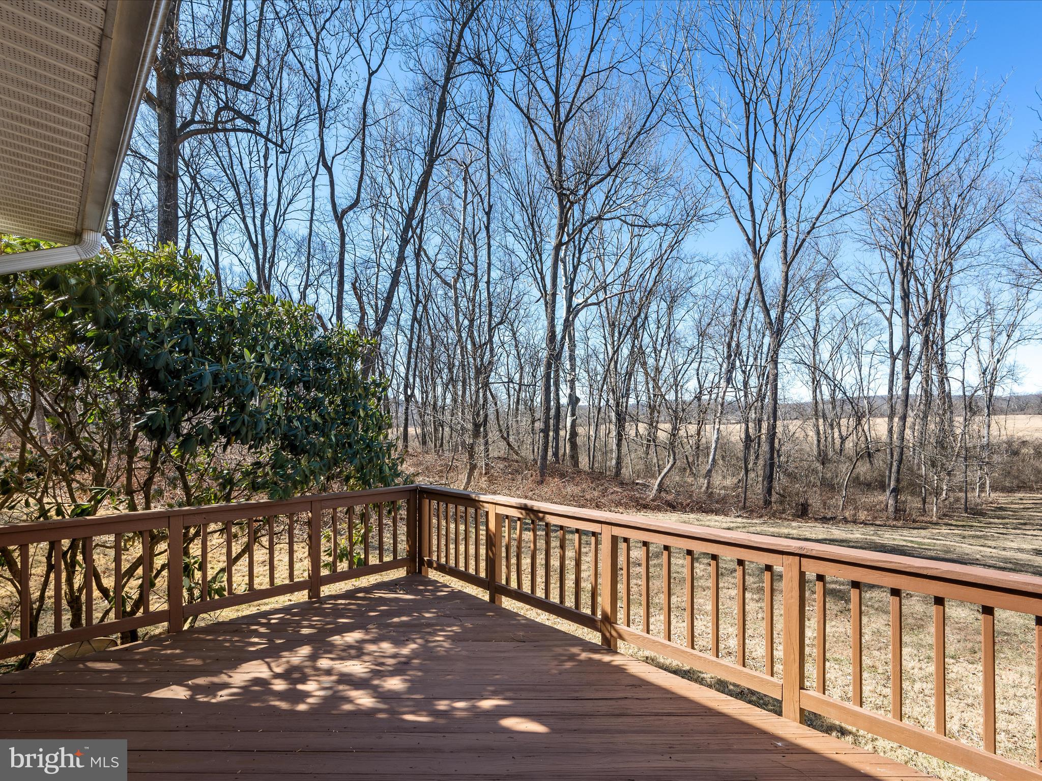 SADDLEBROOK - Residential