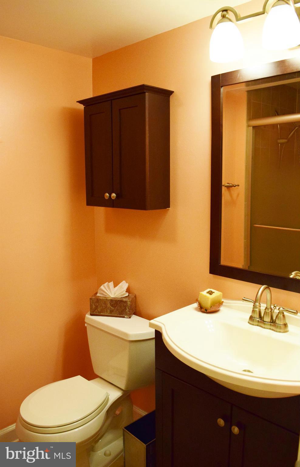 BURKE VILLAGE - Residential