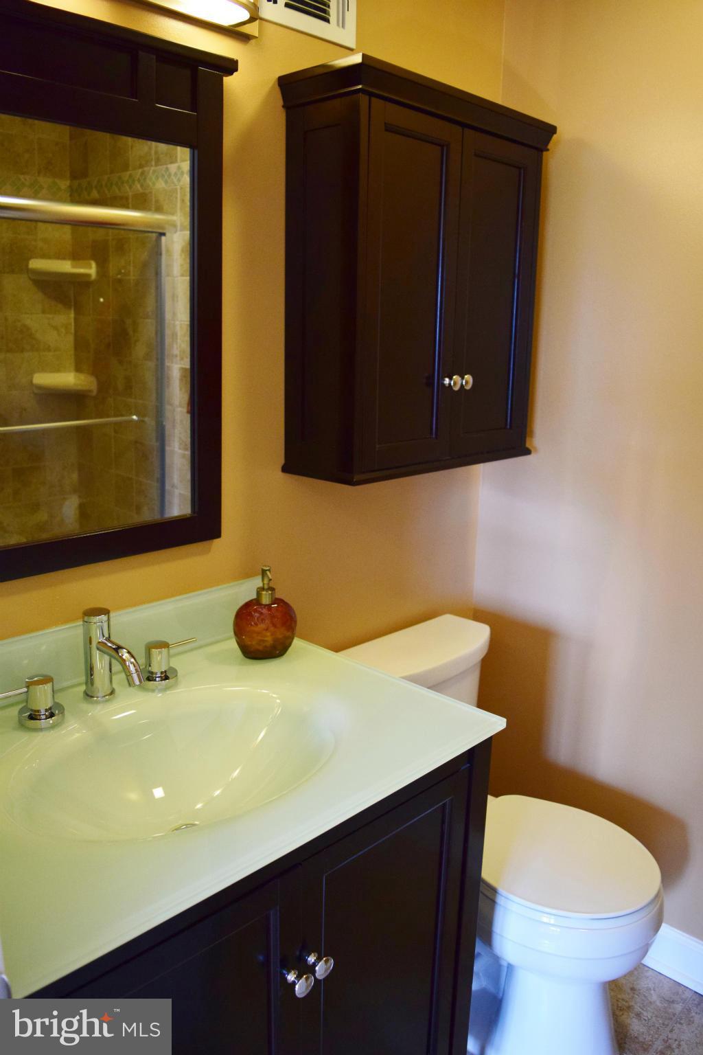 BURKE VILLAGE - Residential