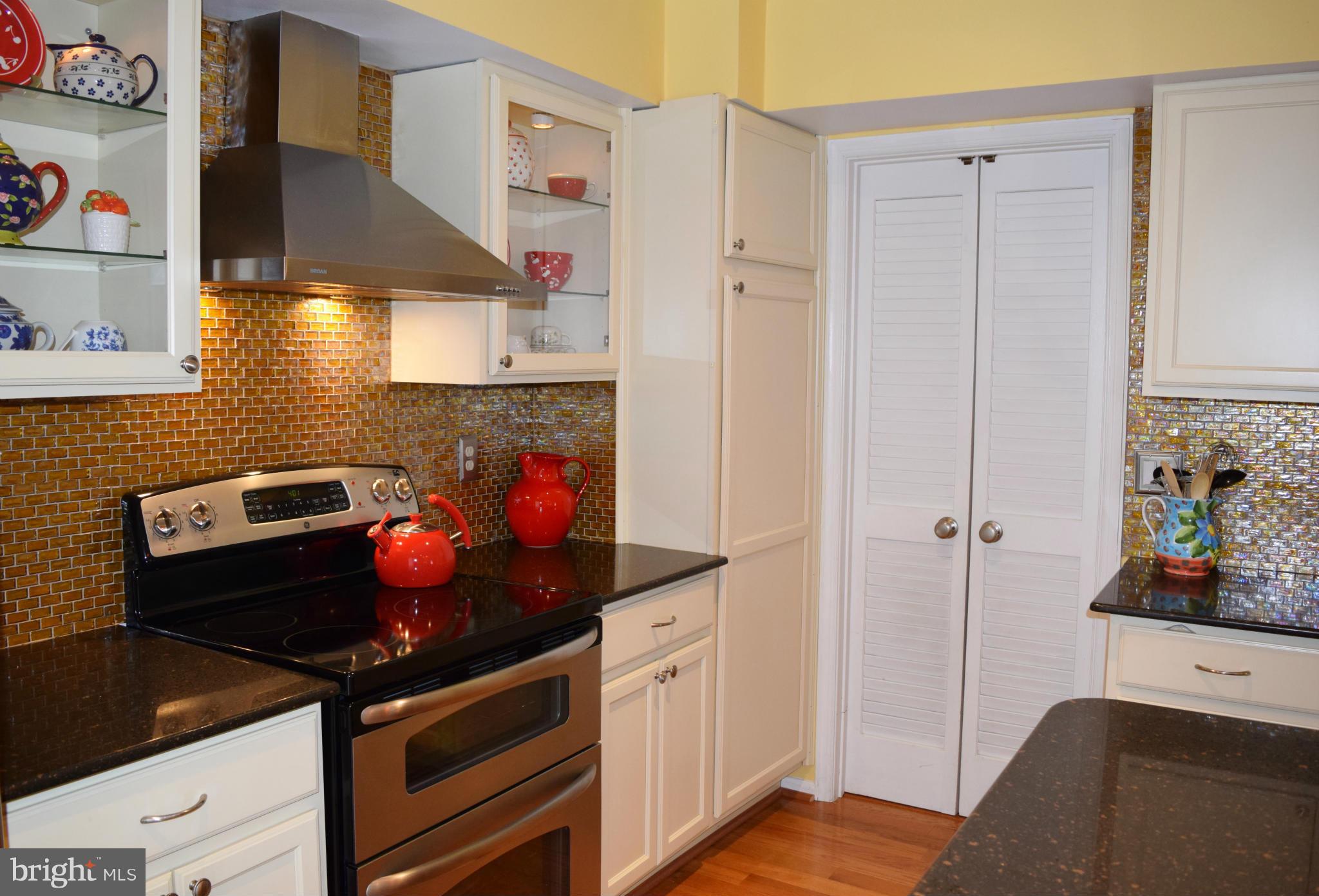 BURKE VILLAGE - Residential