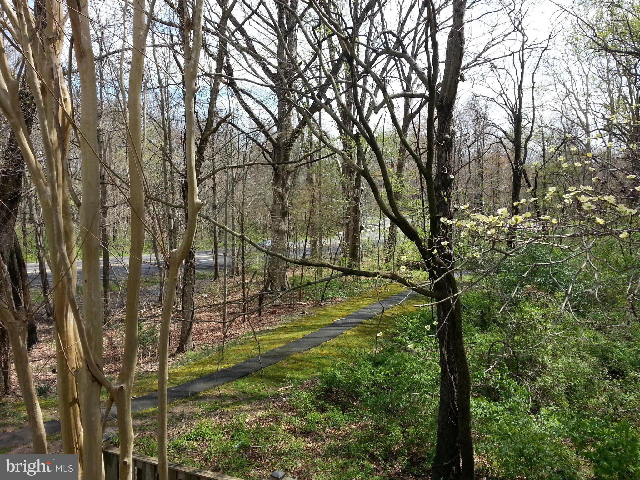 BURKE VILLAGE - Residential