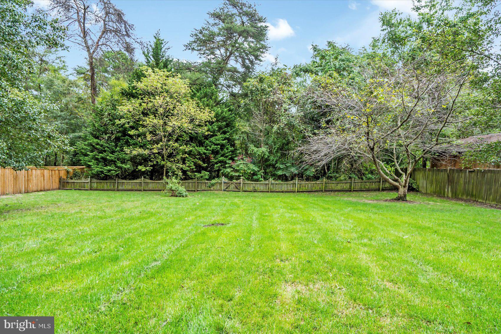 ELMHURST - Residential