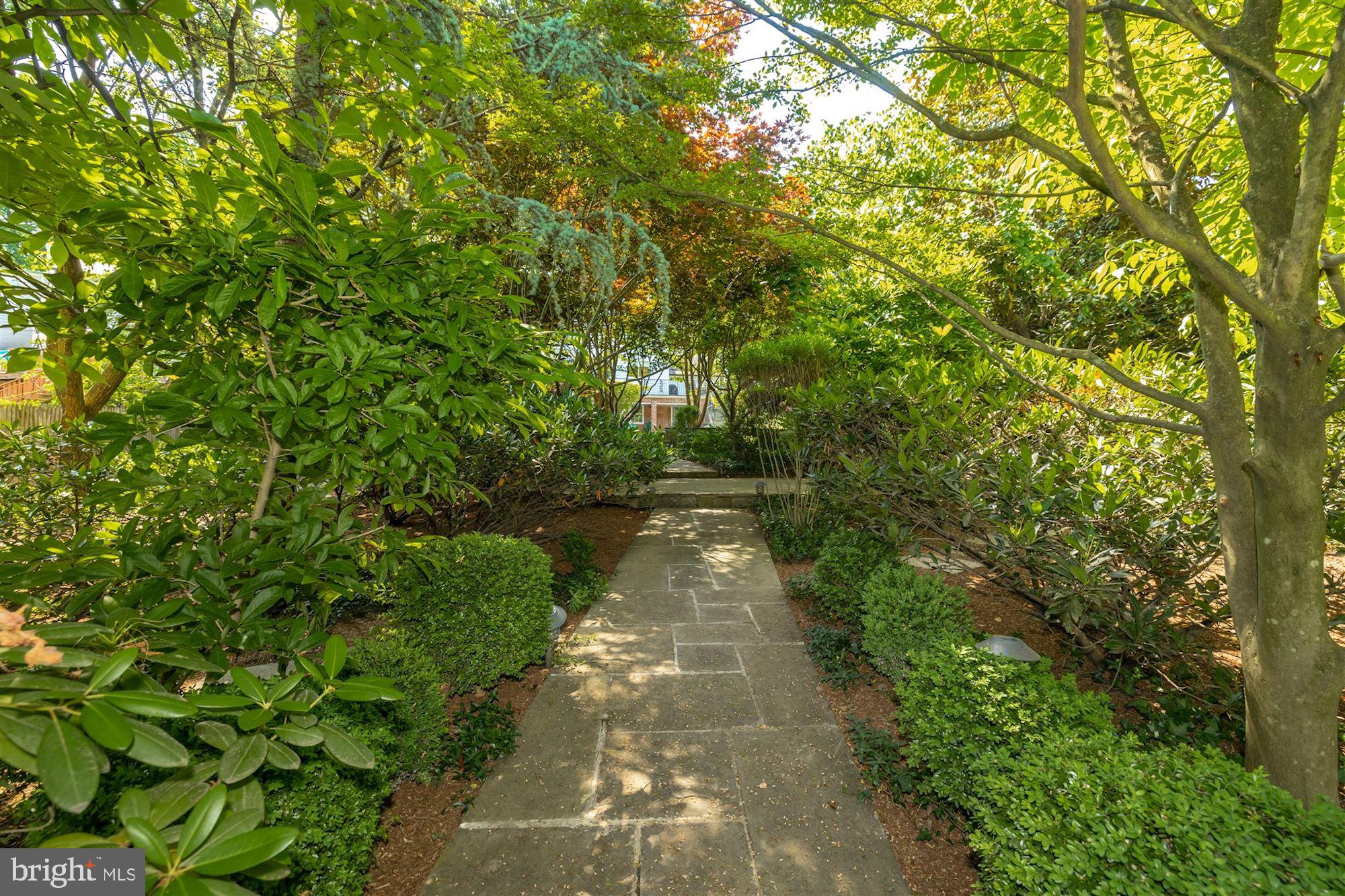 CHEVY CHASE - Residential