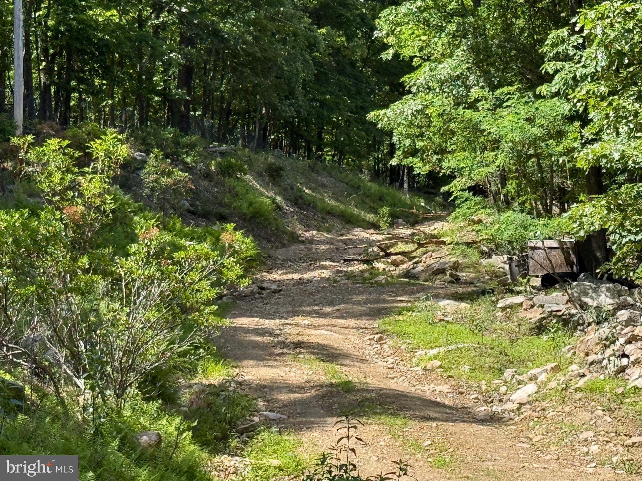 ROBERTS ROAD