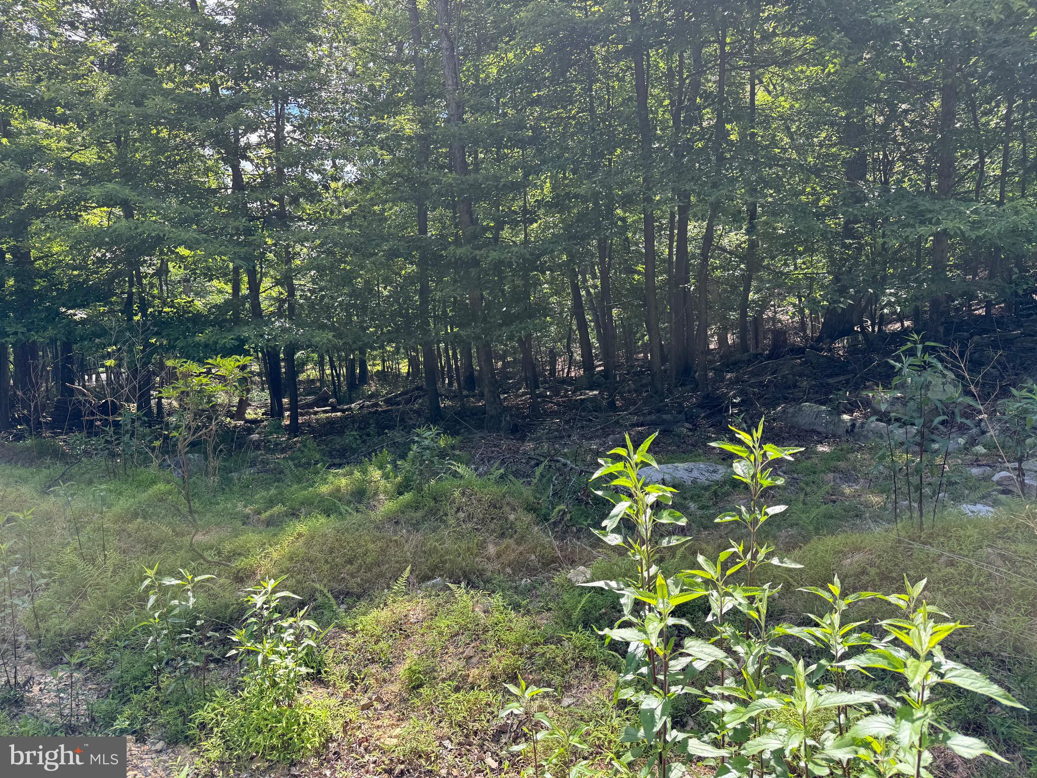ROBERTS ROAD