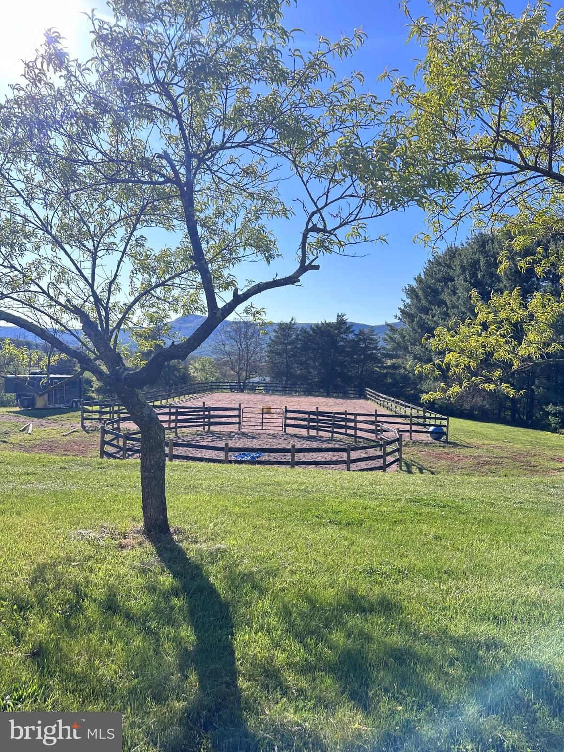 338 SPRINGFIELD ESTATES DRIVE