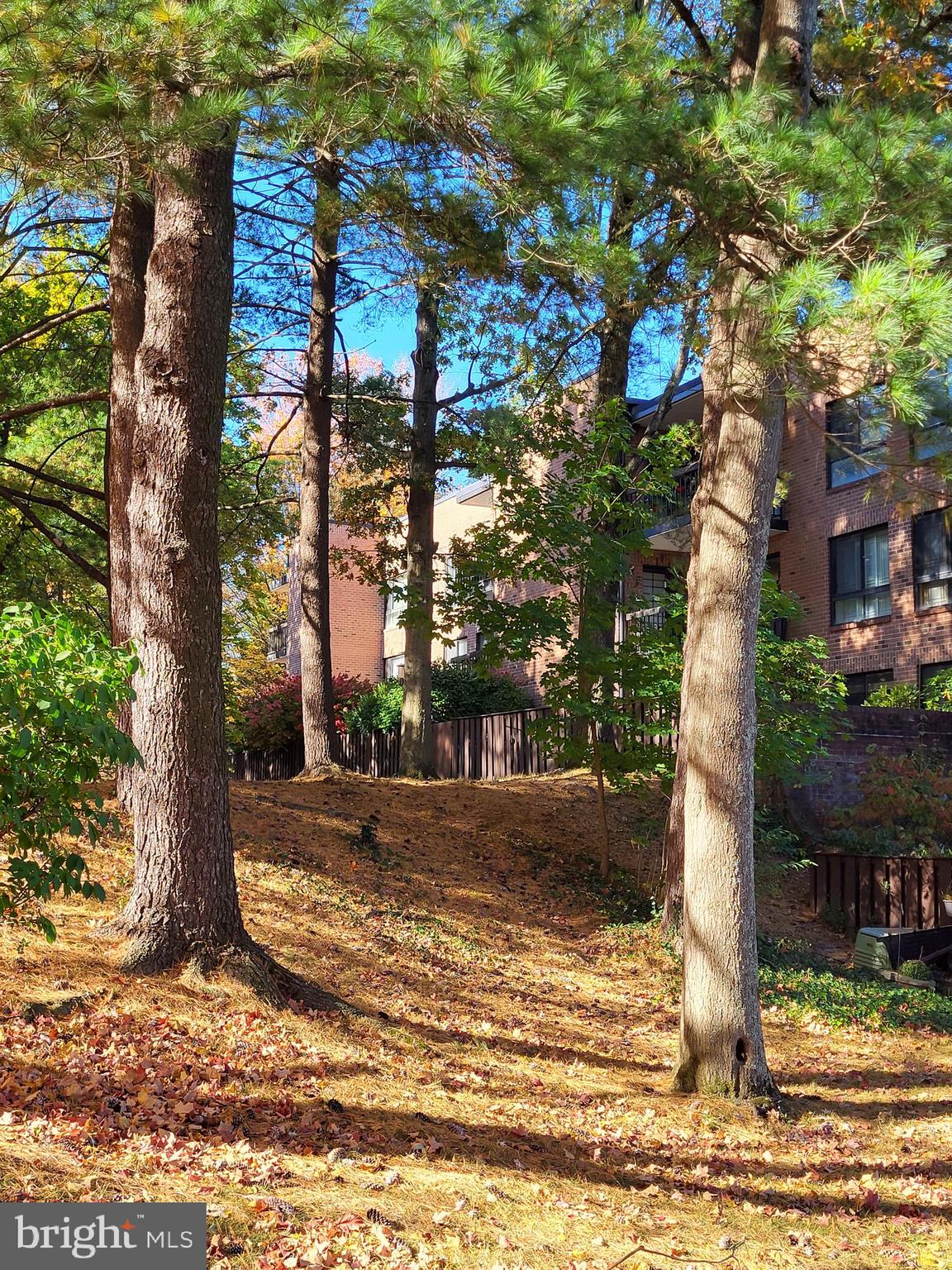 HILL HOUSE - Residential