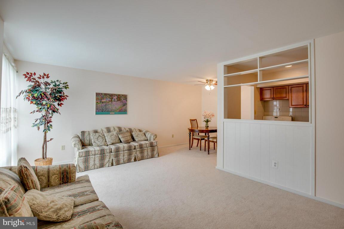 FALLS PLAZA - Residential