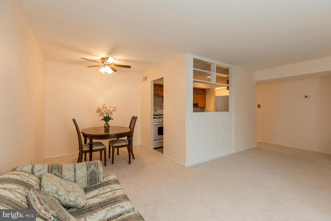 FALLS PLAZA - Residential