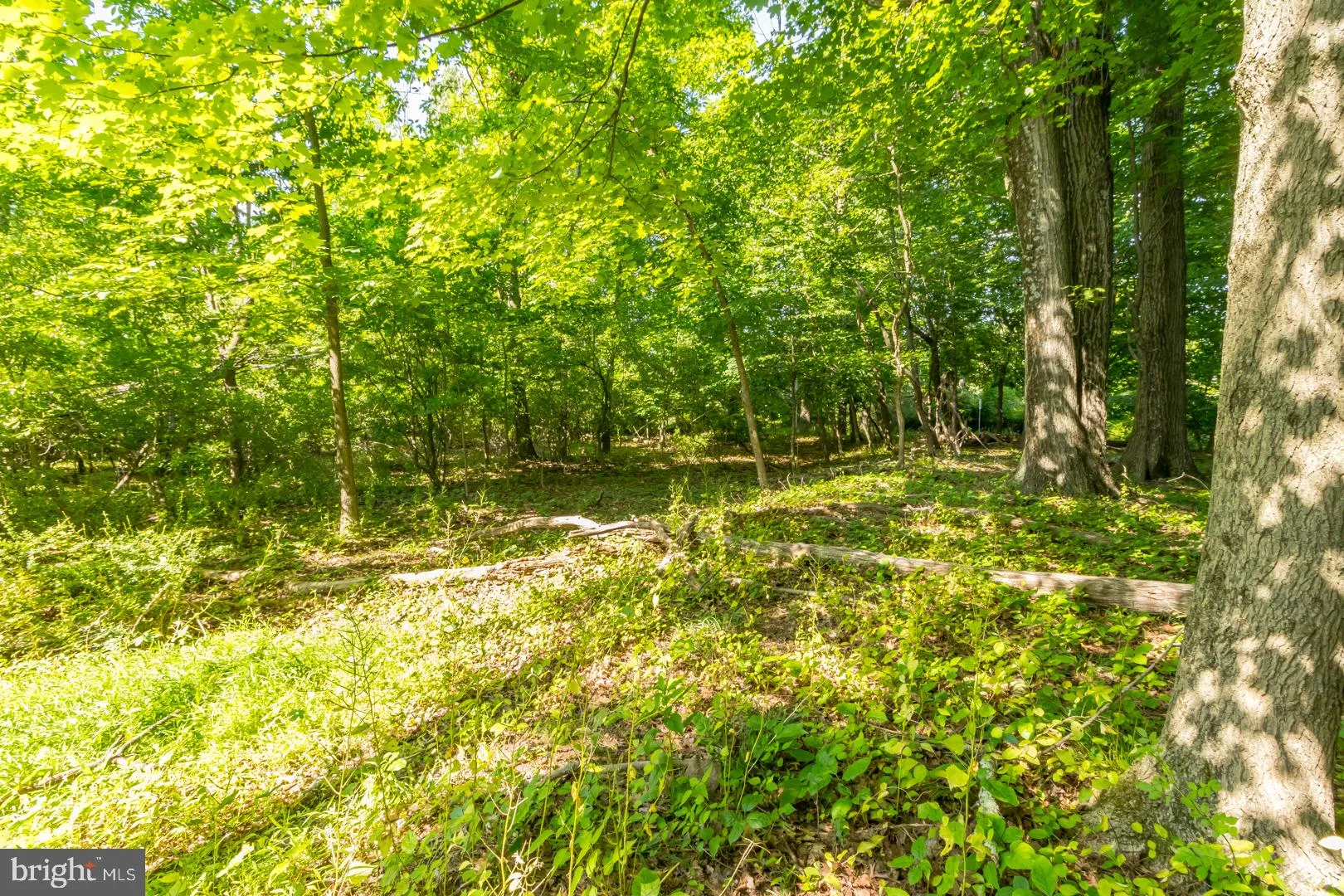 Hopewell, New Jersey 08525, United States, ,Land,Pending,52876