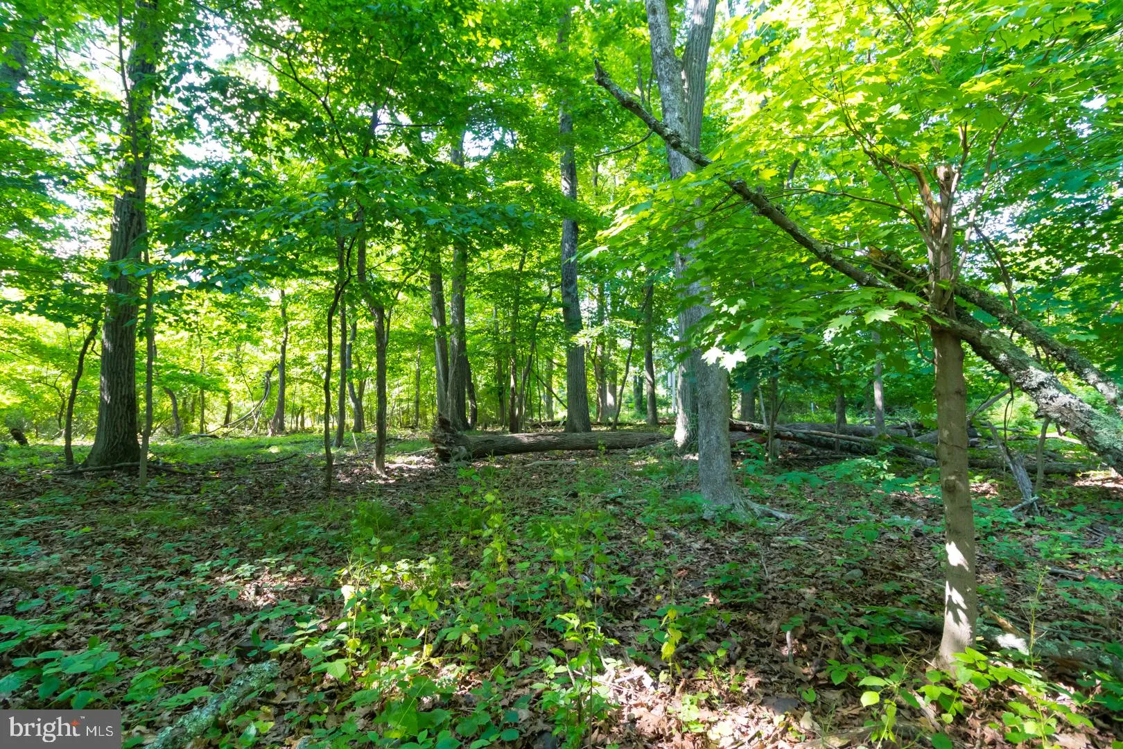 Hopewell, New Jersey 08525, United States, ,Land,Pending,52876