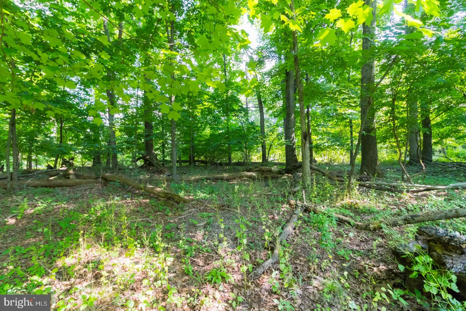 Hopewell, New Jersey 08525, United States, ,Land,Pending,52876