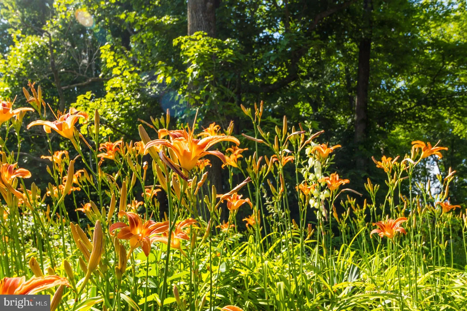 Hopewell, New Jersey 08525, United States, ,Land,Pending,52876