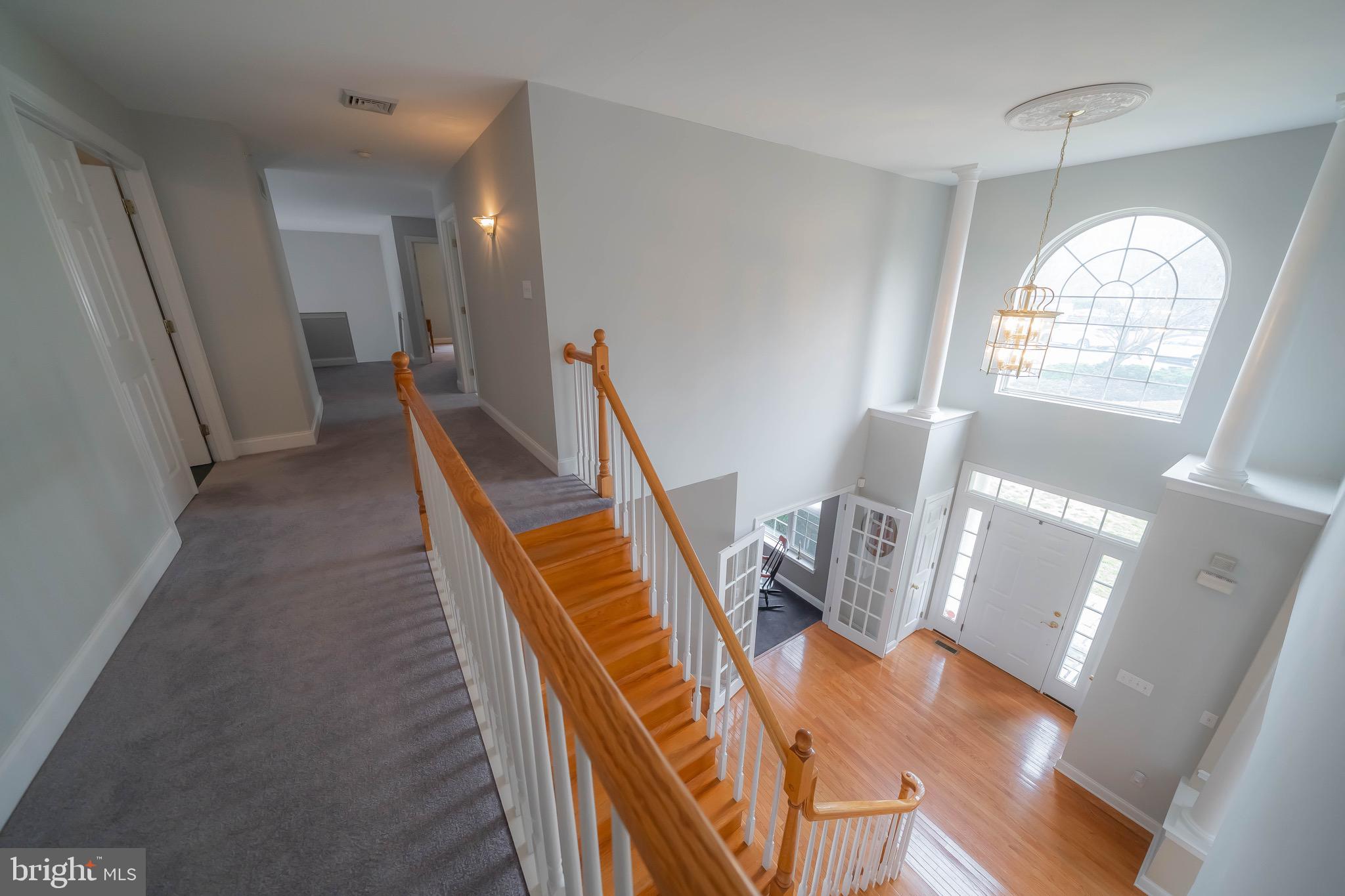 SPRINGFIELD CHASE - Residential