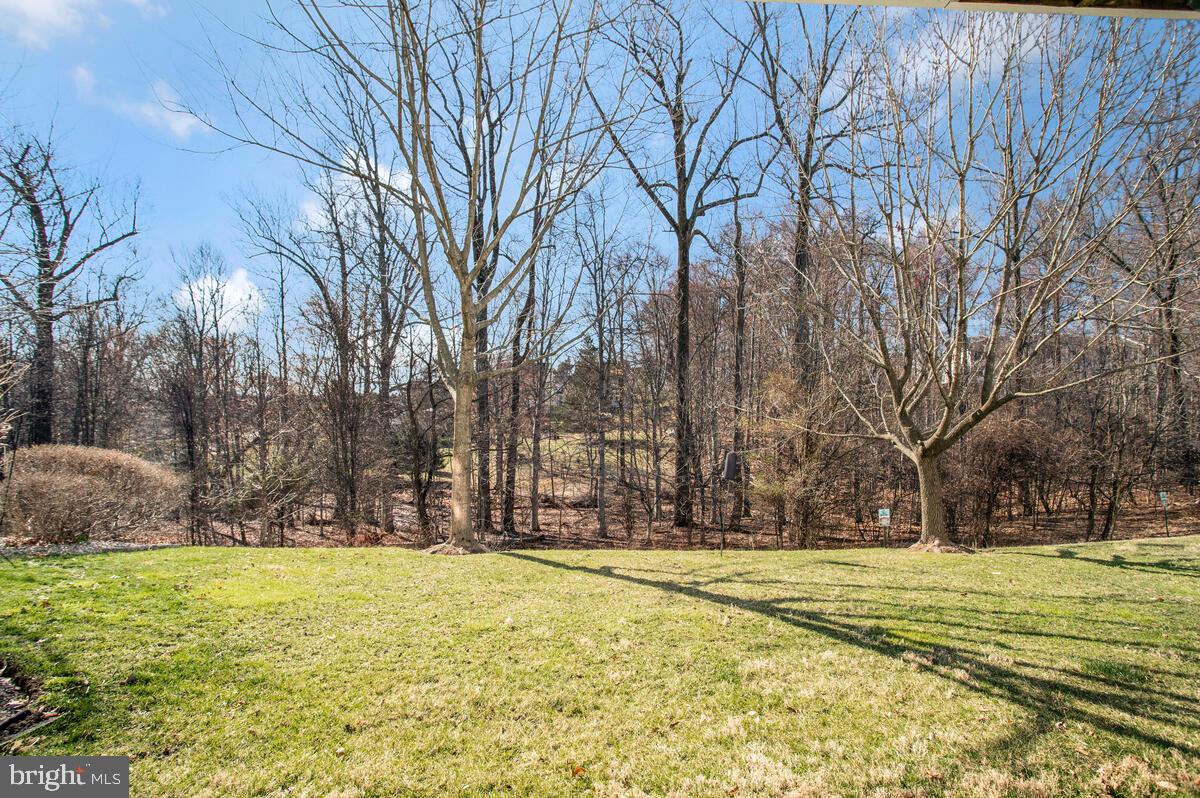 SNOWDEN OVERLOOK - Residential