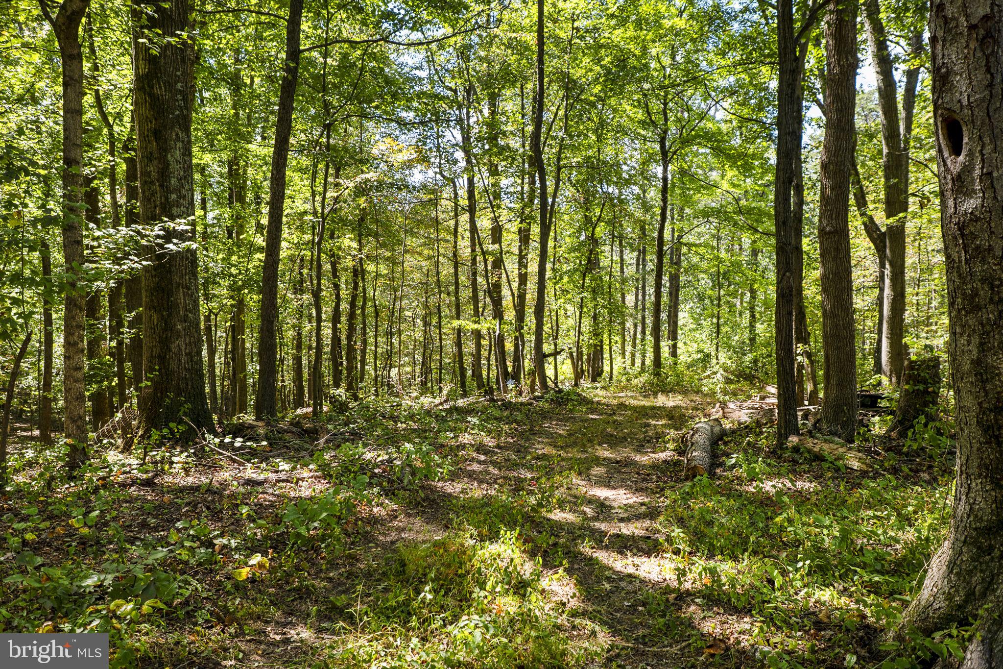 BARNESVILLE OUTSIDE - Residential