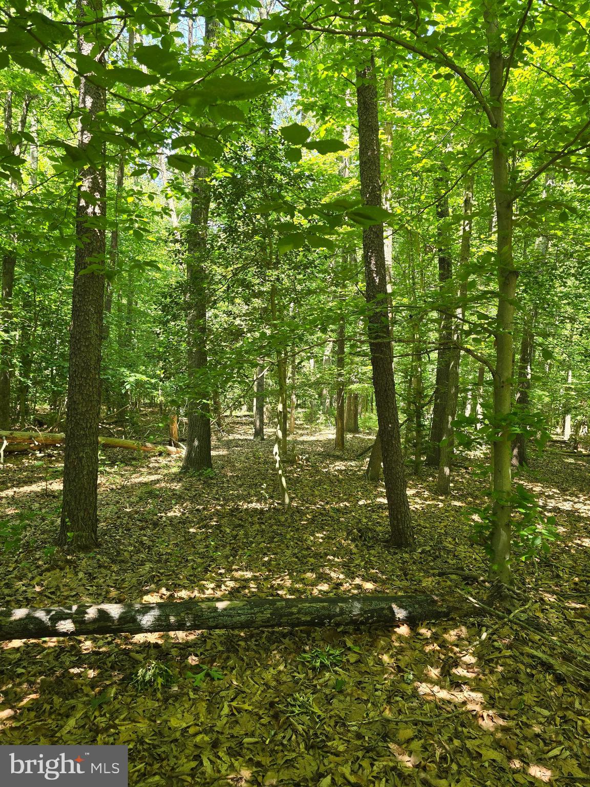 OLD HERALD HARBOR ROAD