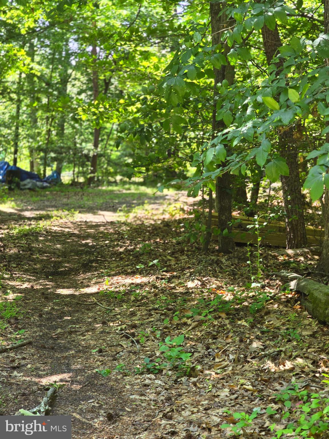 OLD HERALD HARBOR ROAD