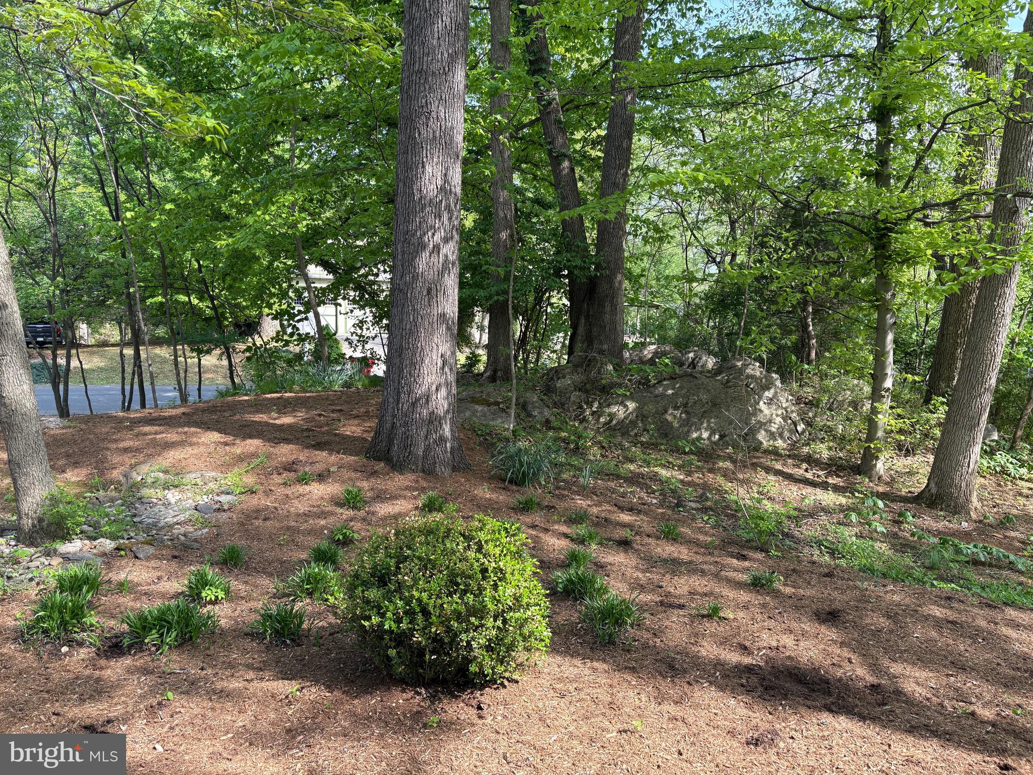 FERNBANK - Residential