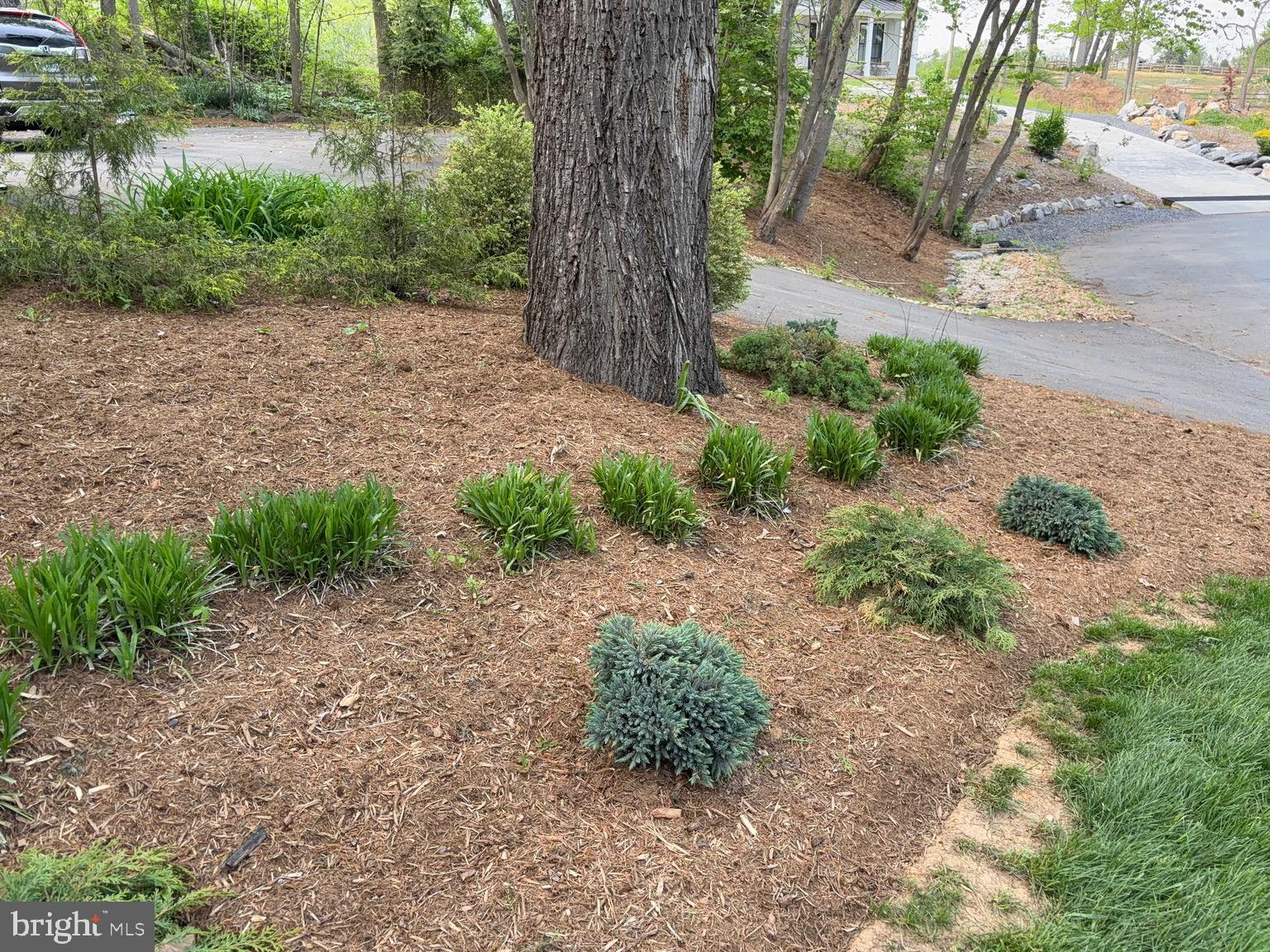 FERNBANK - Residential