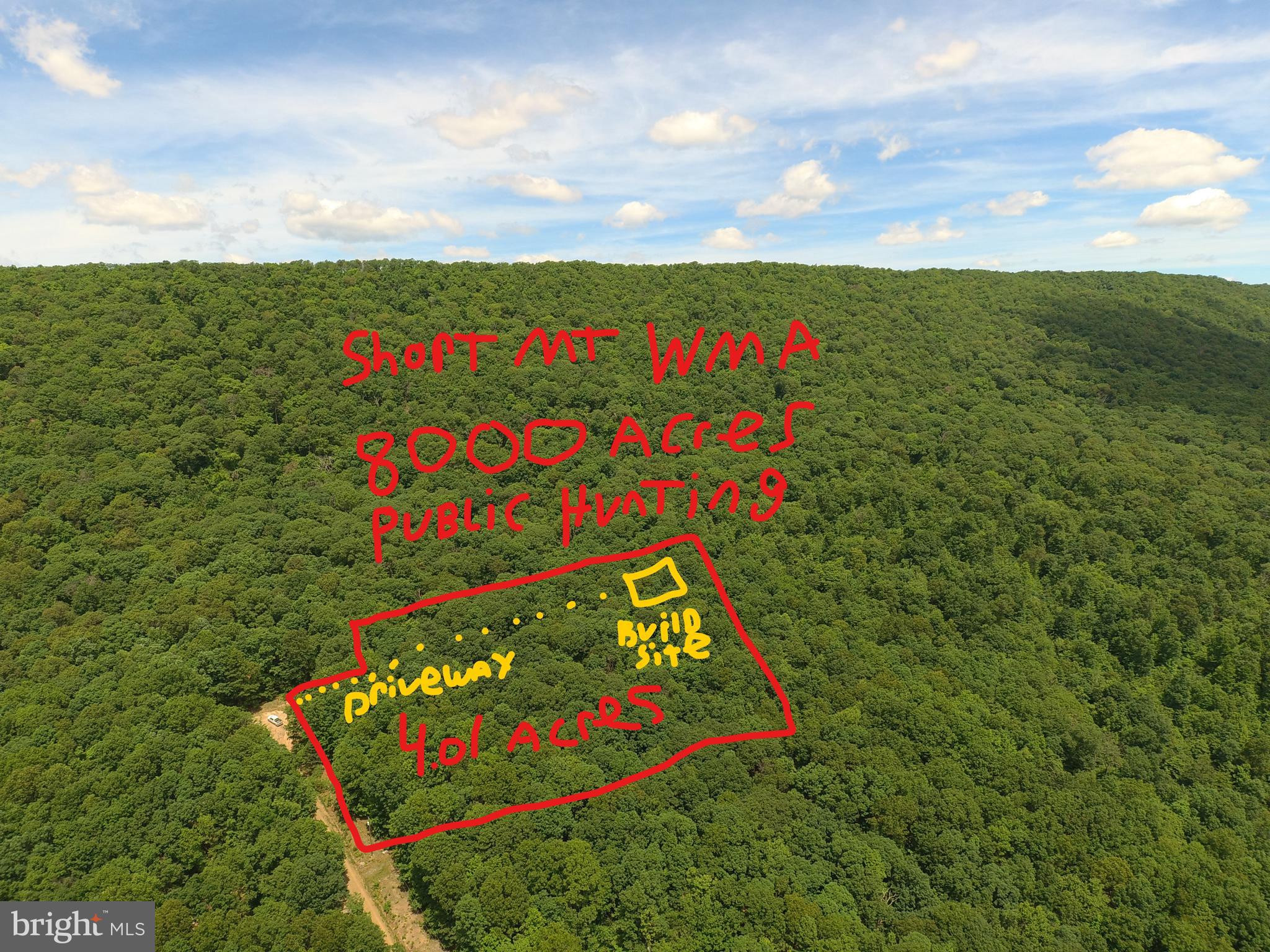 HUNT 4 LESS! 4 WOODED ACRES BORDERING SHORT MOUNTAIN WILDLIFE MANAGEMENT AREA(8000 ACRES OF PUBLIC HUNTING OWNED BY WV). 500FT DRIVEWAY LEADS TO FLAT PRIVATE BUILDING SITE, BUY WITH CONFIDENCE KNOWING THAT NOBODY CAN BUILD BEHIND YOU AND YOU CAN WALK OUT THE BACK DOOR AND HUNT ON 8000 ACRES. A VERY NICE LOT, COVERED IN TOWERING HARDWOODS AND ELECTRIC AT PROPERTY CORNER AND APPROVED PERK. MAXIMUM PRIVACY, MINIMAL RESTRICTIONS, HOA NOT ACTIVE AT THE MOMENT, MOBILE HOMES ALLOWED. BUY 4 AC, HUNT 8000 ACRES.....IT SOUNDS LIKE A NO BRAINER....BECAUSE IT IS!