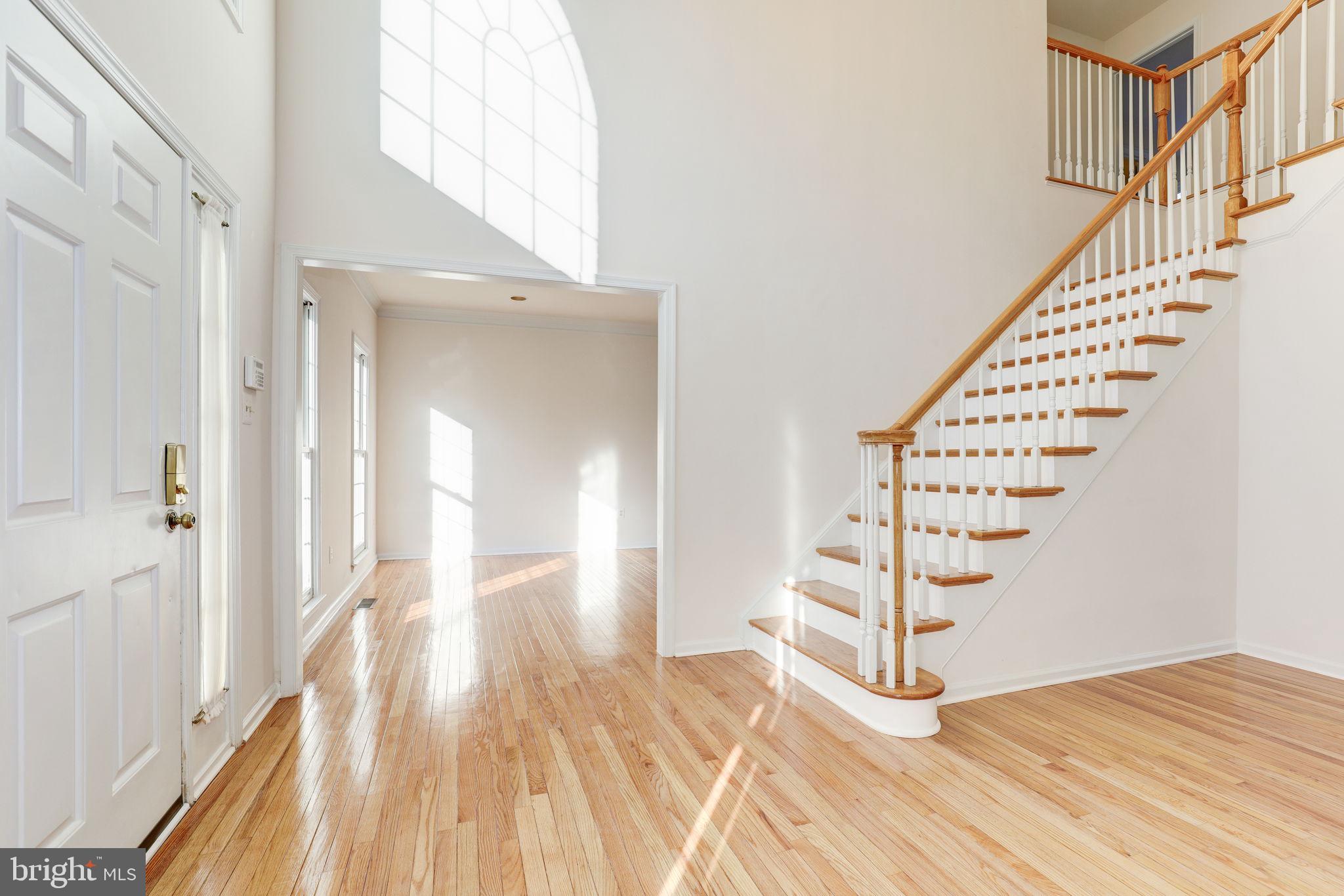 BLENHEIM - Residential