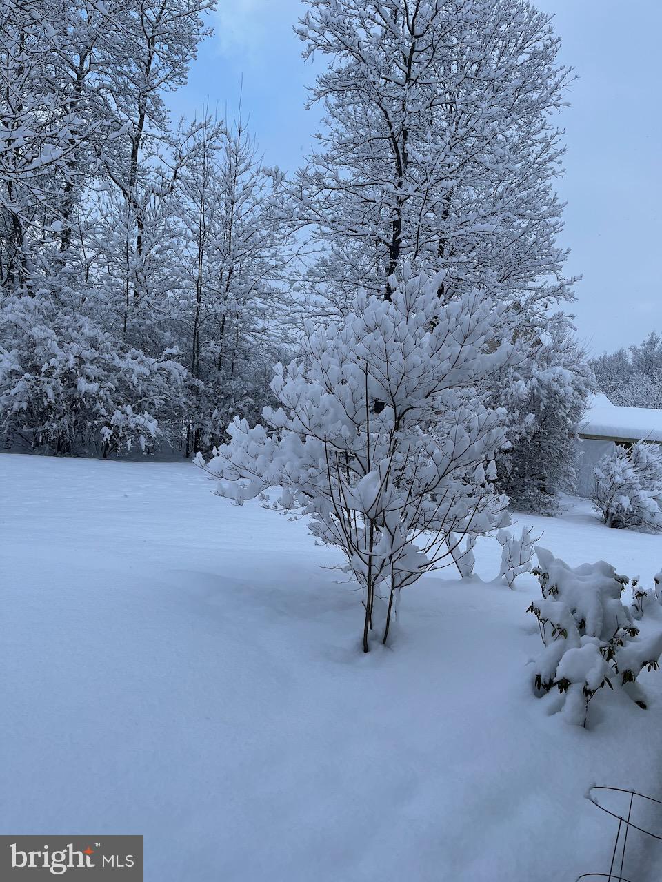 SPRINGTOWN KNOLL - Residential