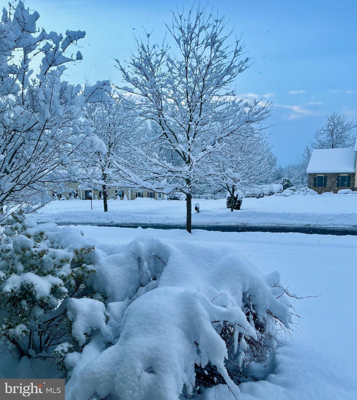 SPRINGTOWN KNOLL - Residential