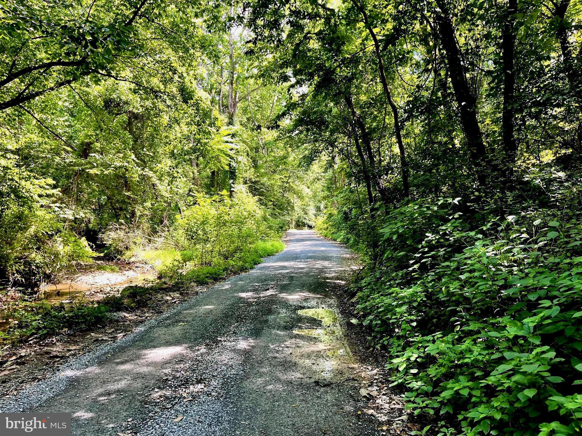 PIONEER LANE