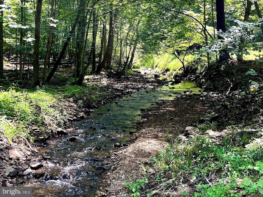 Curate your dream and let the country roads take you home to this beautiful 14.59 +/- acre tree dappled parcel, conveniently located just minutes from commuter route 50 and the historic villages of Millwood, Upperville and Middleburg, The gently rolling land is partially wooded including some mature oaks and several lovely clearings.  A vibrant stream flows through the back with small water falls and swimming nooks to explore and enjoy. 
Build your full time home or weekend getaway.  Plant a garden, float the Shenandoah River, hike Sky Meadows park, shop the local farmer's markets and boutiques, picnic at nearby Polo matches and equestrian venues, visit the National Sporting Library & Museum in Middleburg for a glimpse of the coveted sporting collections and exhibits, explore Blandy, the state Arboretum, attend a concert at the Barns of Rose Hill in Berryville or head into Winchester to grab a bite and catch a movie.  All just a short scenic drive away.  Endless possibilities from outdoor recreation and farming to fine dining. shopping and entertainment.
1 hour to Dulles Int'l airport,  1.5 hours to DC