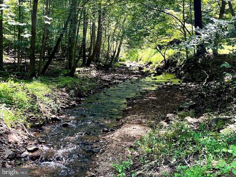 Vacant Land For Sale - Pioneer Lane<br/> BOYCE, VA 22620