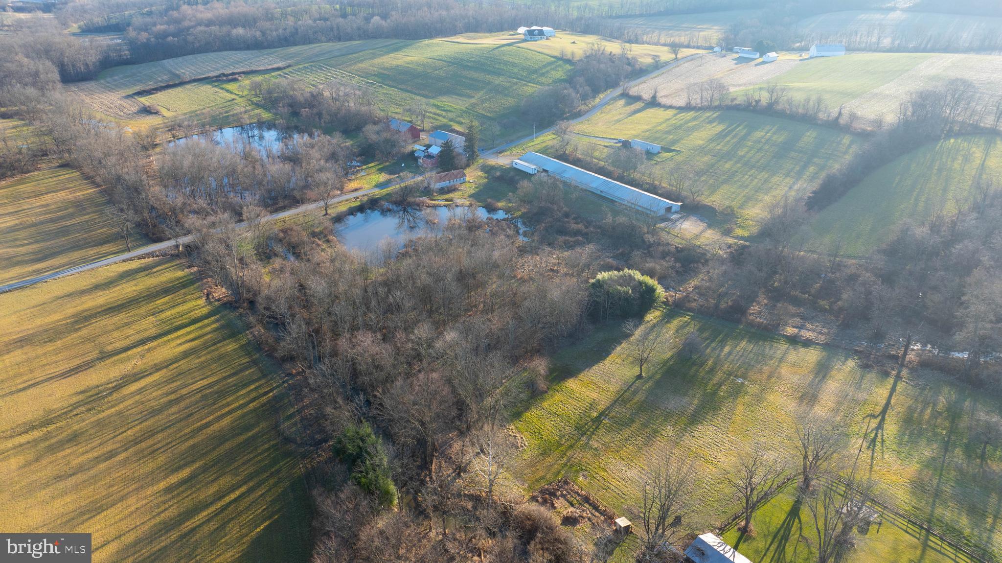 NONE AVAILABLE - Farm