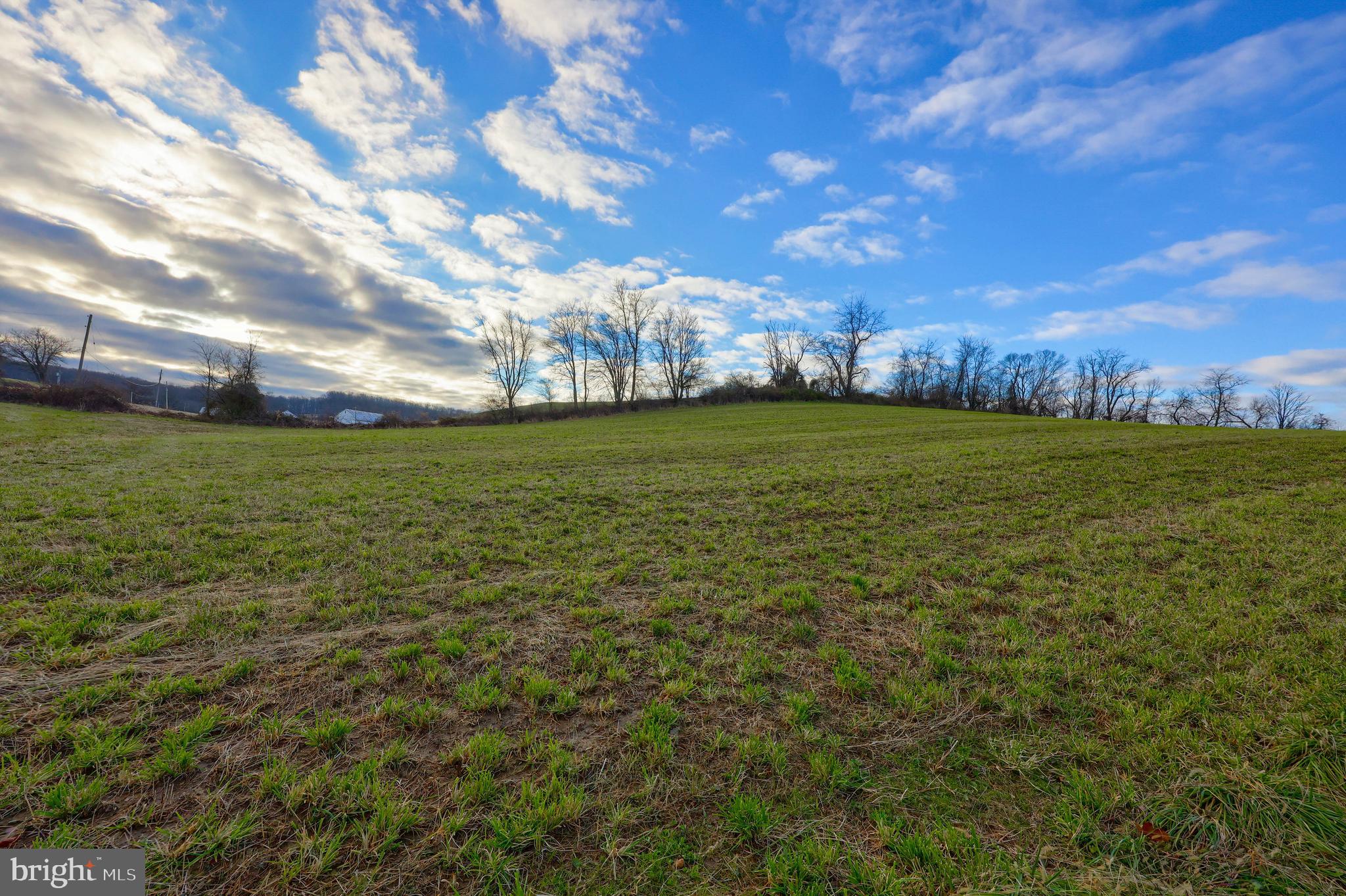 NONE AVAILABLE - Farm