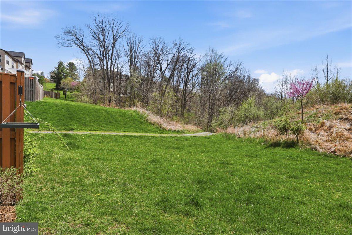 WOODLANDS PRESERVE AT WESTWINDS - Residential