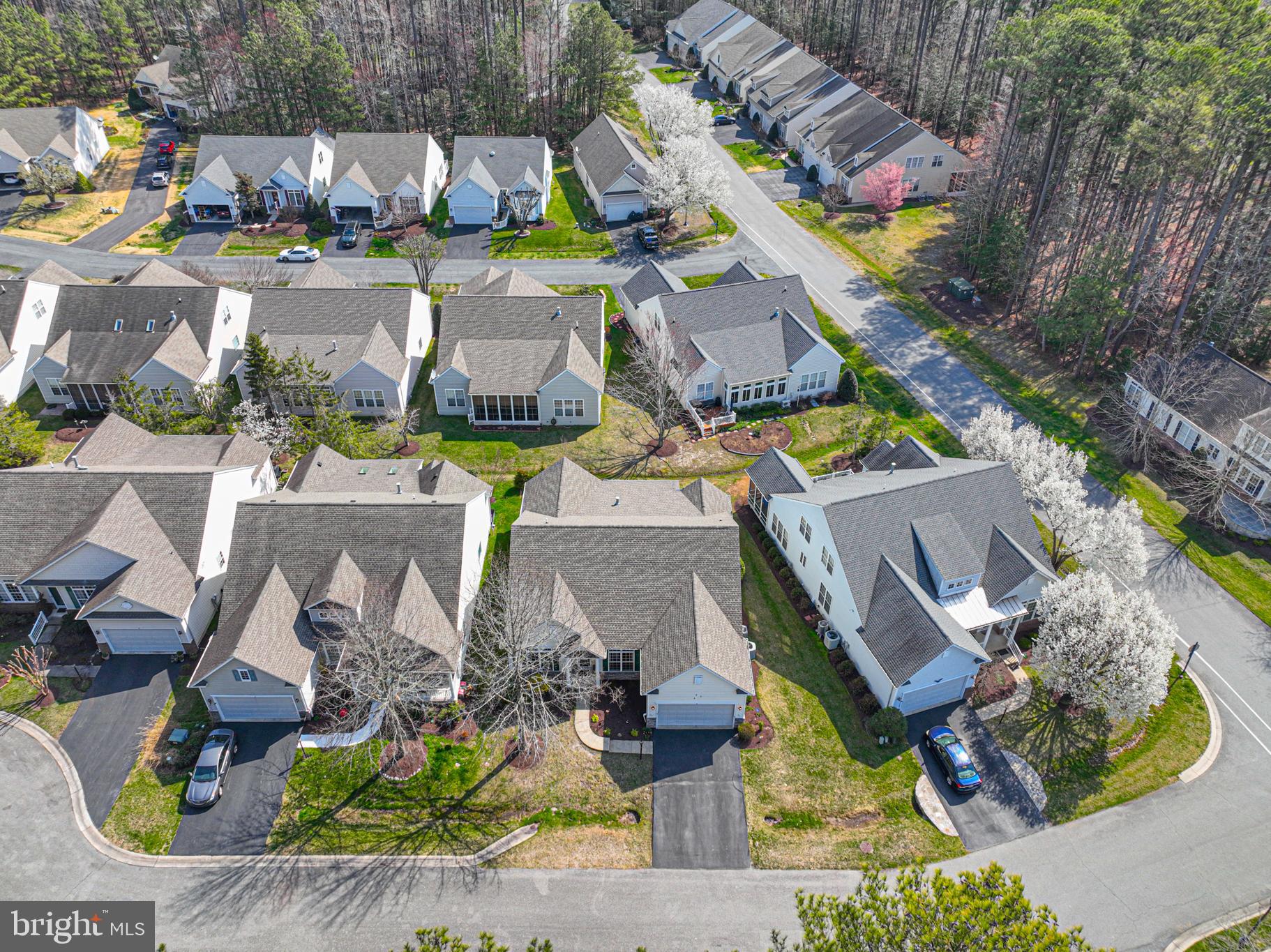 OCEAN PINES - THE PARKE - Residential