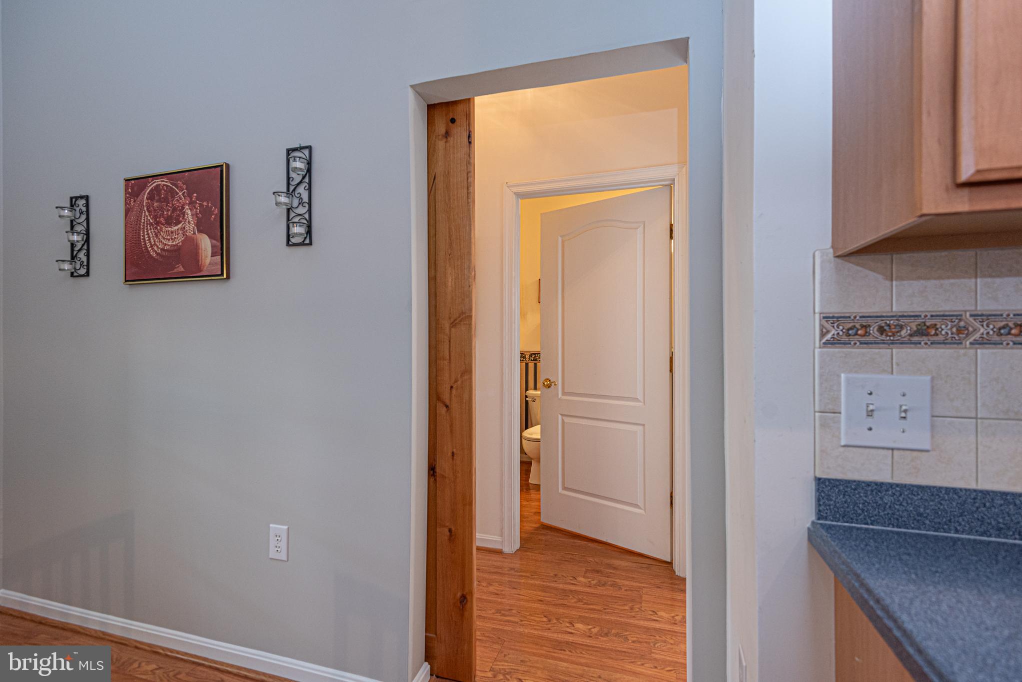 OCEAN PINES - THE PARKE - Residential