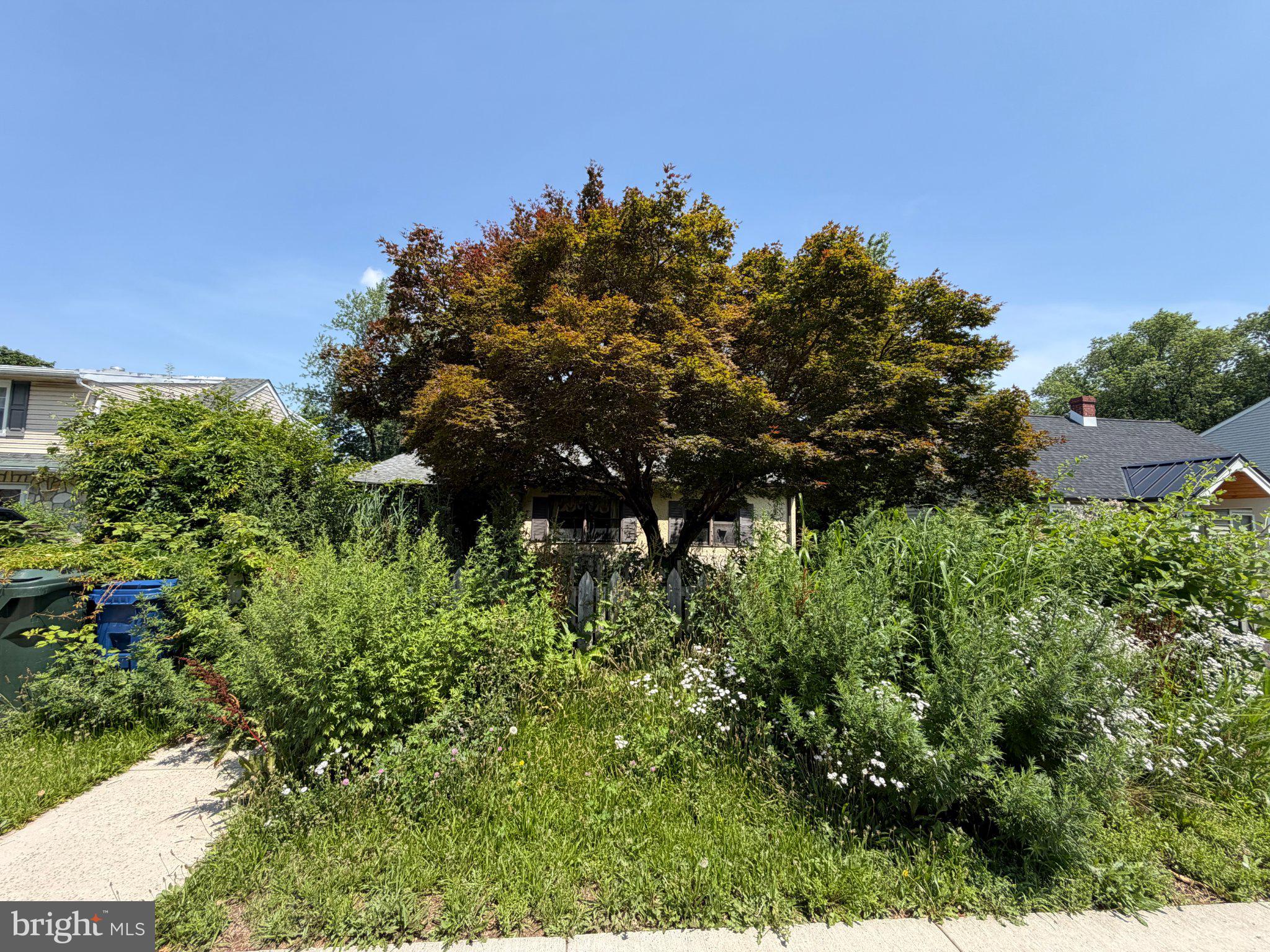 868 TYSON AVENUE