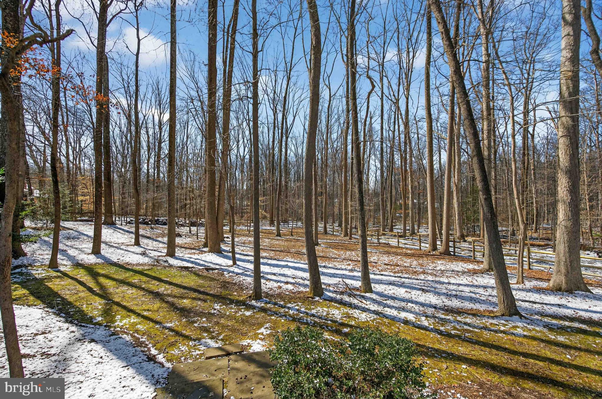 FAIRFAX STATION EAST - Residential