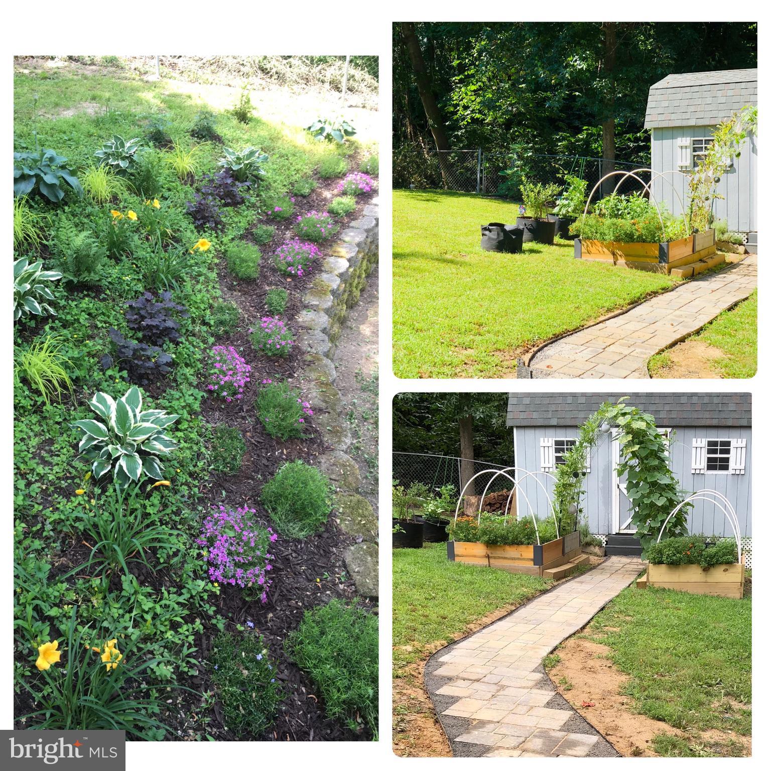 CHESAPEAKE HEIGHTS - Residential