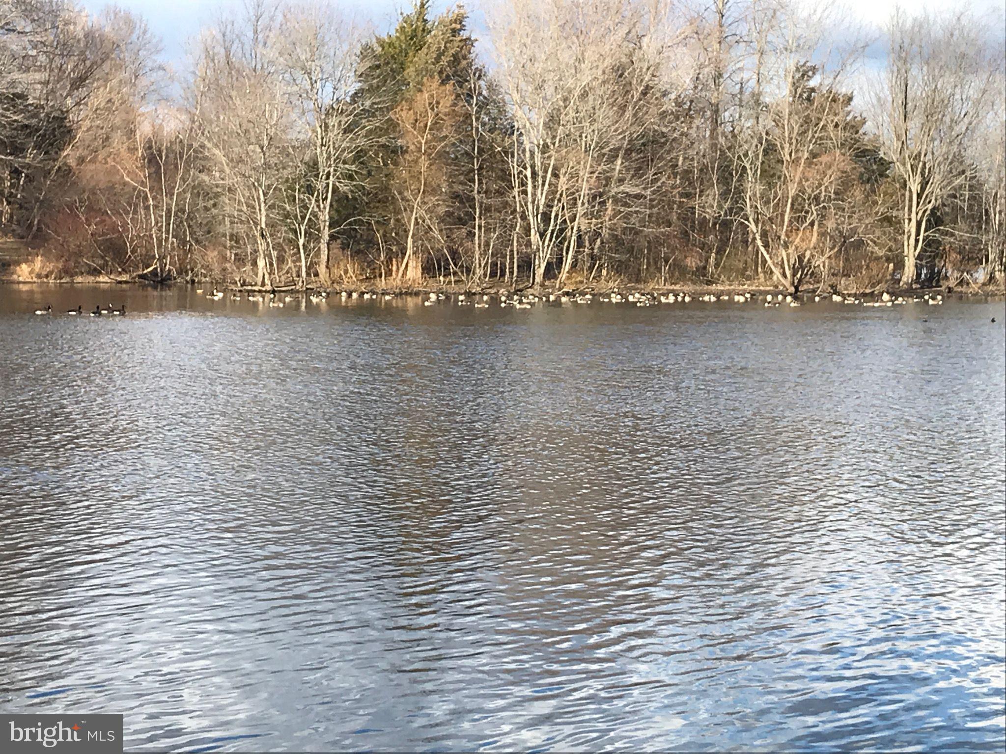 HALLOWELL - Residential