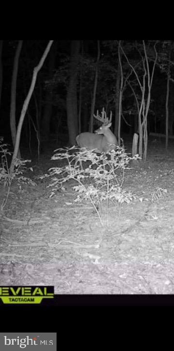 SEVERN - Residential