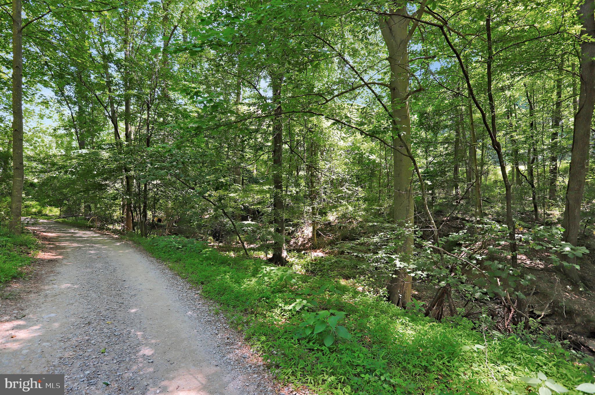 LAKE LINGANORE TOWN CENTER - Residential