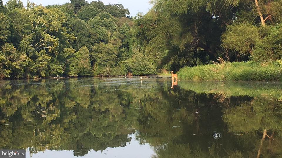 LAKE LINGANORE TOWN CENTER - Residential