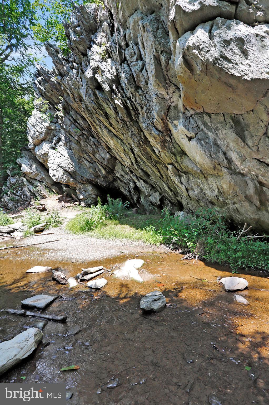 LAKE LINGANORE TOWN CENTER - Residential